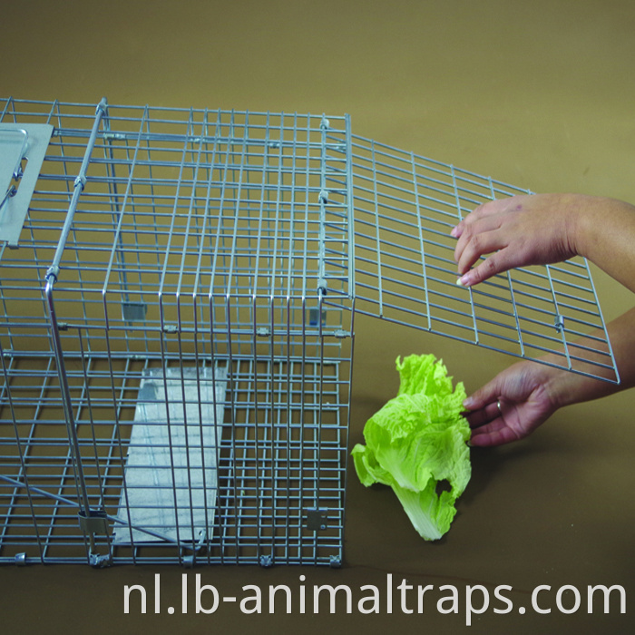 Liebang Animal Large Metal Rabbit Cat Squirrel Cage Trap met voetpeddel